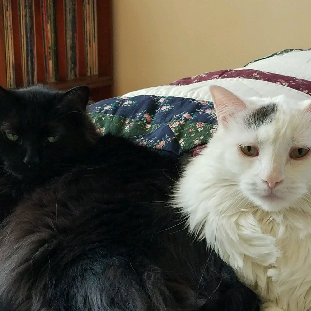 Meet your Posher, Deb